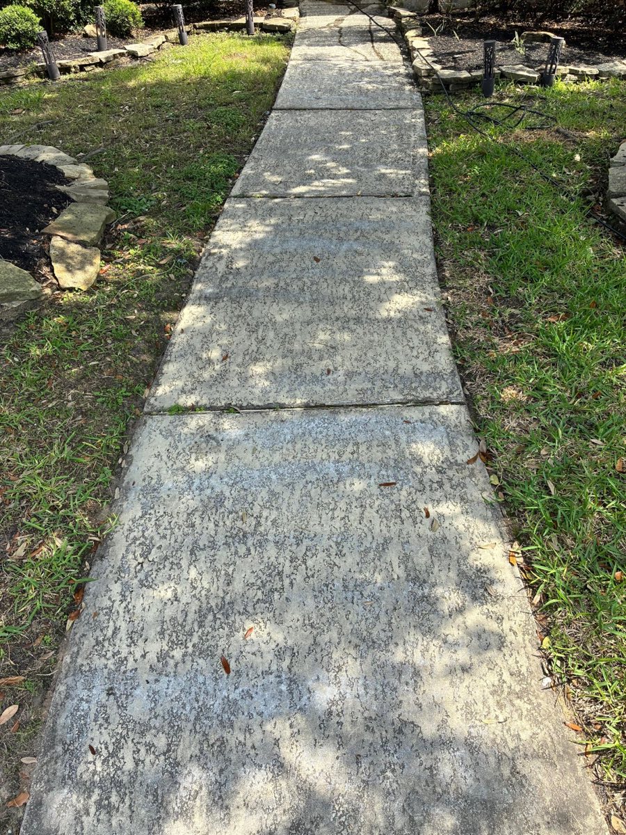 Concrete walkway in Katy, TX before pressure washing — algae and mold ground into the surface